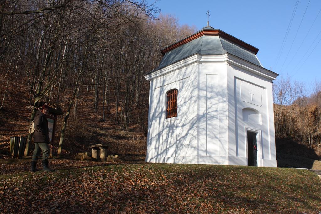 Villa Szarvasko Szeruskert Vendeghaz Exterior foto