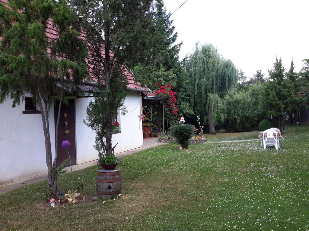 Villa Szarvasko Szeruskert Vendeghaz Exterior foto